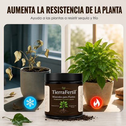 TierraFertil | Minerales para plantas, activador universal de raíces