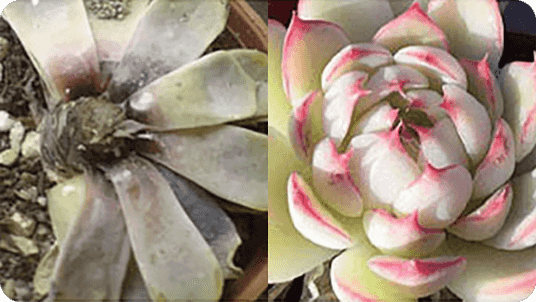 Antes y después